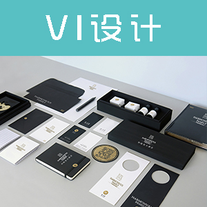 品牌VIS设计