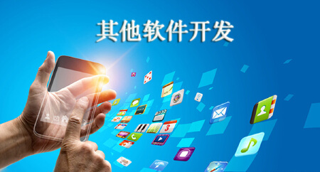 其他软件开发