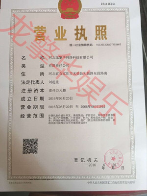 龙擎华娱乐 游戏应用开发游戏 三端互通 app平台 开发出售