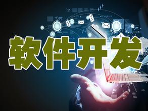 定制软件开发
