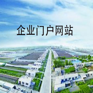 综合性门户网站