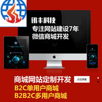 商城网站建设(电商)B2C单用户、B2B2C多用户商城开发