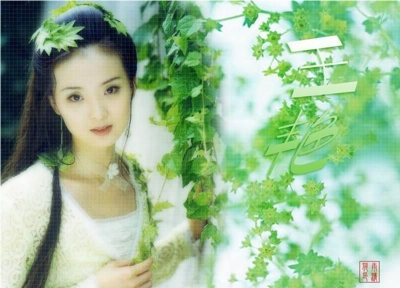 王姓女孩起名