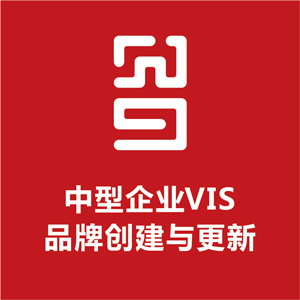 中型企业VI设计套餐