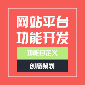 网站平台功能开发+功能自定义