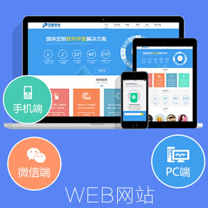 web网站开发