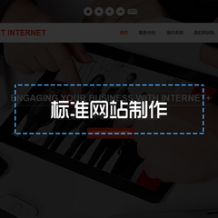 标准化网站建设