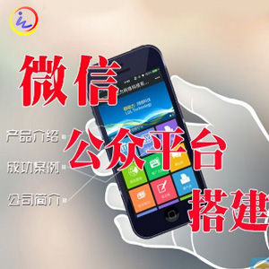 微信商城建设 微信公众号开发，微官方网站，微商城、微信定制开发、微信开发微营销