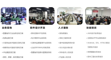 it体系见面/电话咨询（2小时）