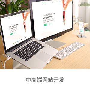 中高端网站开发