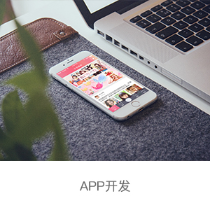 APP开发