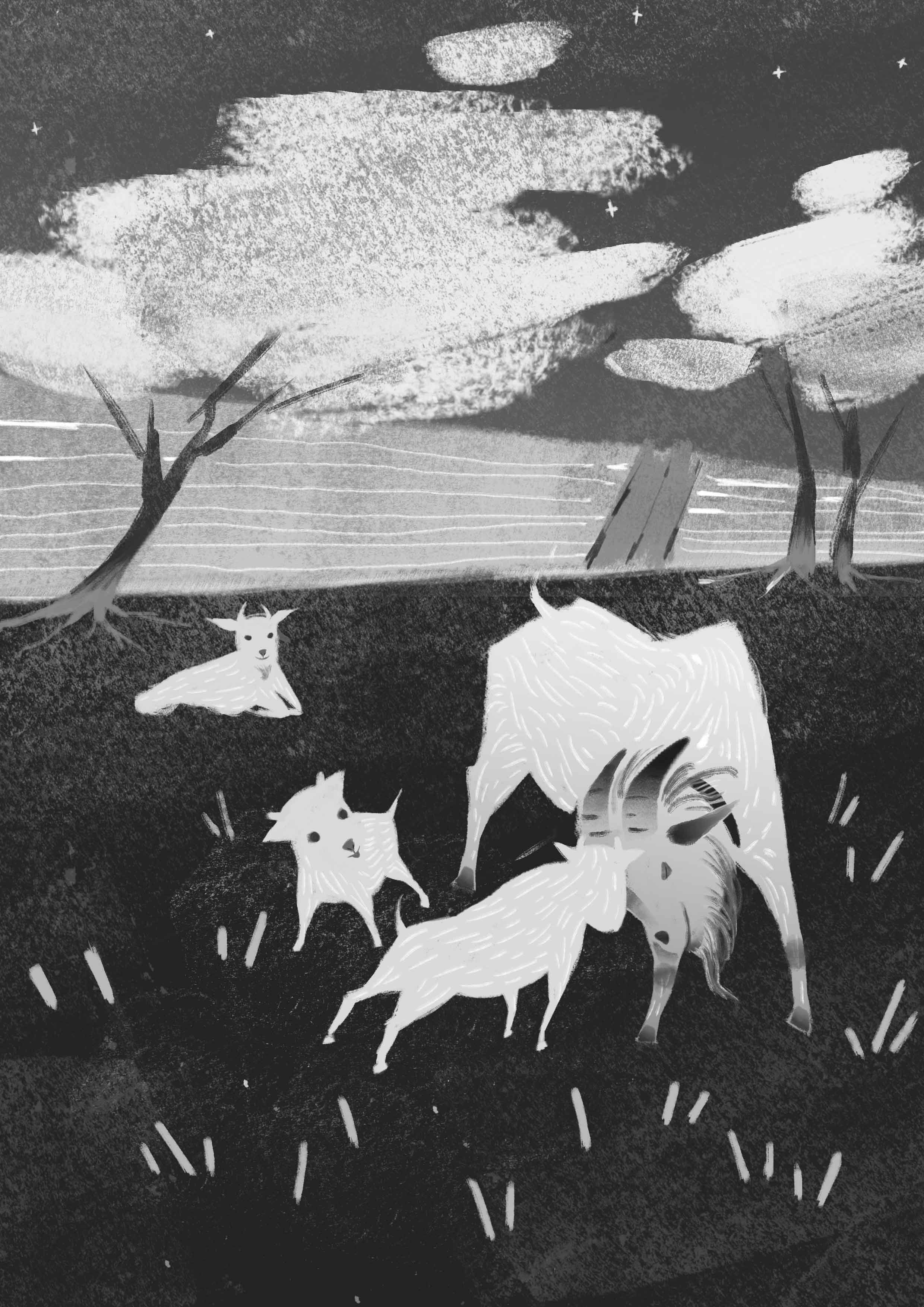 杭师美院——羊