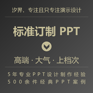 PPT设计—标准订制