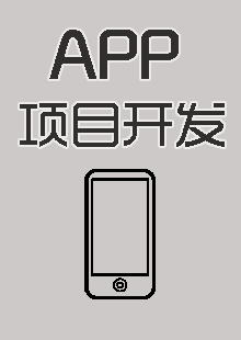 APP开发