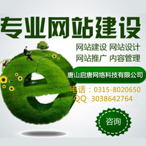 高端网站建设开发