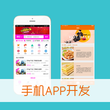 APP定制开发服务