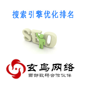 搜索引擎优化排名