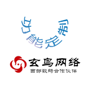 功能定制---根据客户需求来进行开发，全程客户参与。