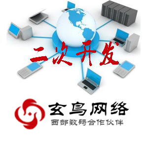 二次开发---二次开发具有客观性、必然性、适应性、动态性、常规性、战略性，对企业发展有重要的意义。