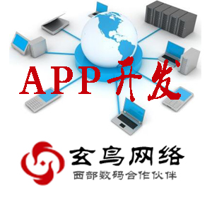 APP开发---