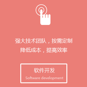 软件开发