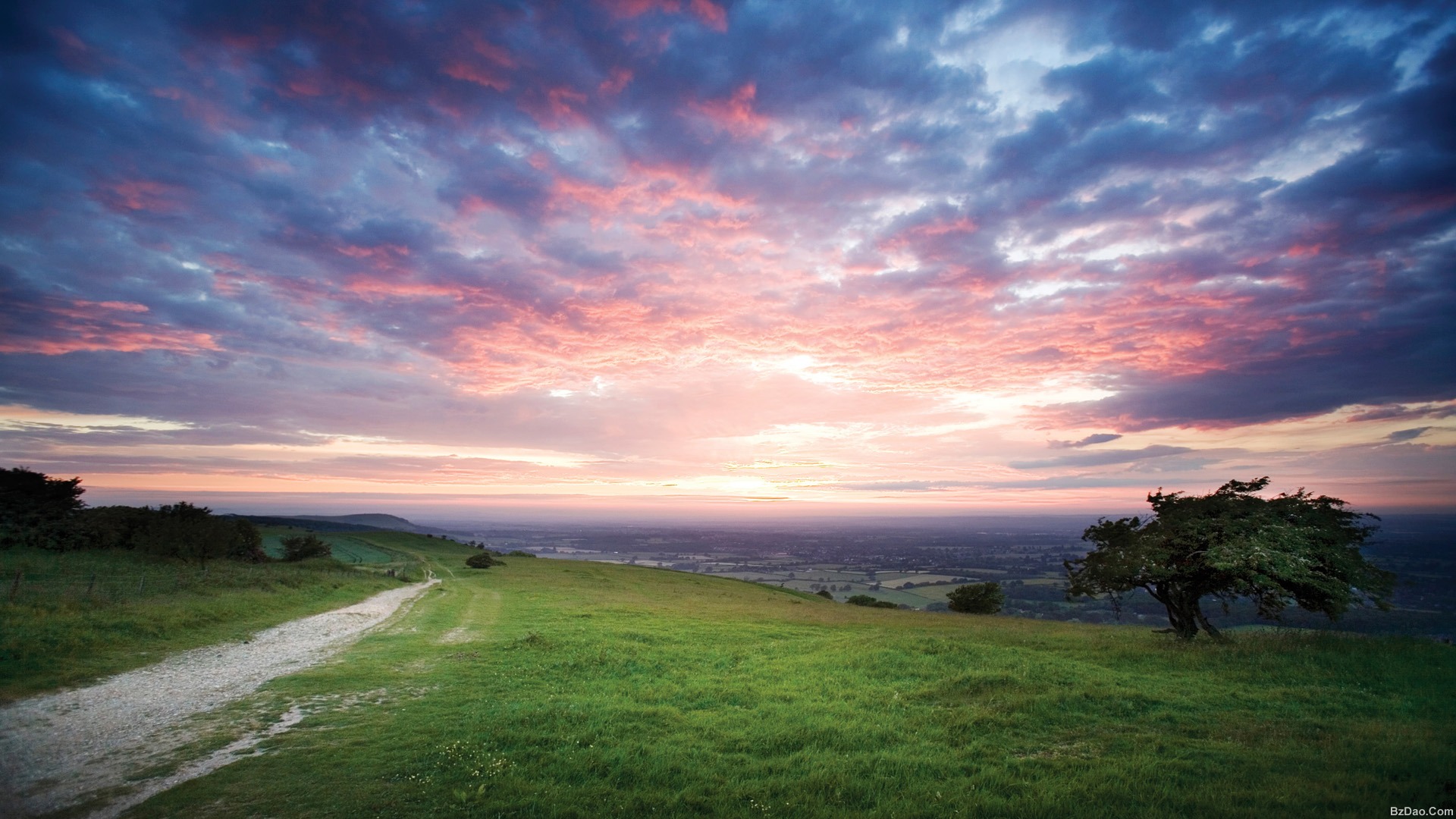 14394752a0e0f35cd7971a5987c64cf0.jpg(457.