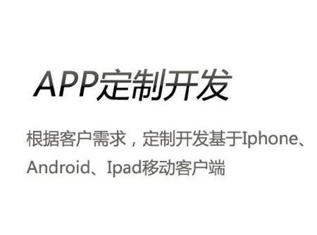 移动应用定制开发