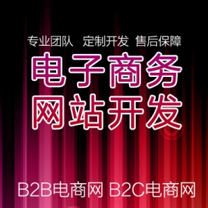 B2B电商平台开发 B2C电子商务网站建设