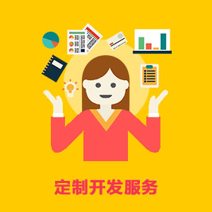 定制开发服务