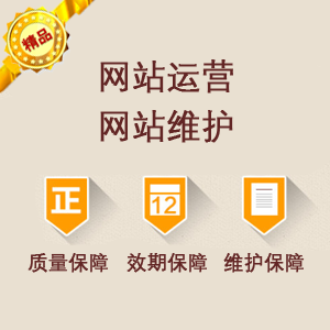 网站运营网站维护