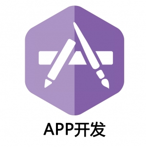 APP定制开发