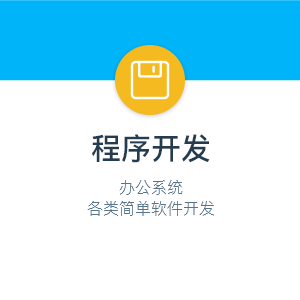 应用系统/软件开发订制