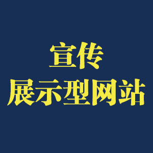 宣传展示型网站_电商网站_门户网站_综合性网站建设-各种平台网站建设