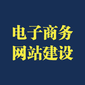 电商网站建设_综合门户类网站_各种平台网站建设