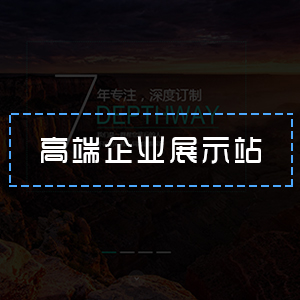企业站综合性信息展示站