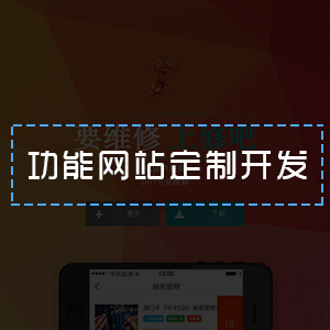 定制功能网站