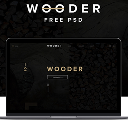 专业网站建设 商城 企业 个人网站