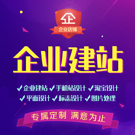 专业企业网站建设 商城开发
