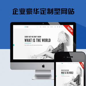 企业豪华定制型网站