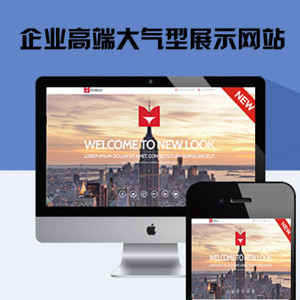 企业高端大气型展示网站