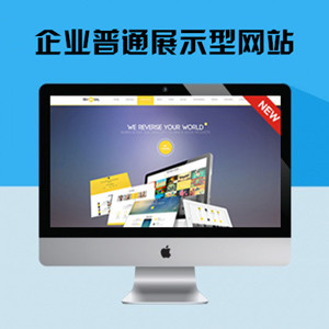 企业普通展示型网站