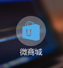 微商城开发