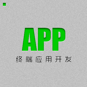 APP-终端应用开发