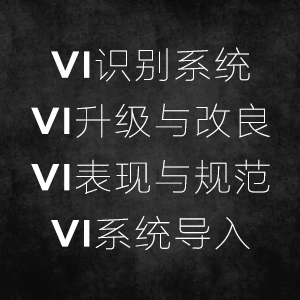 VI设计