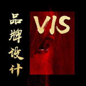 VI设计 专业呈现