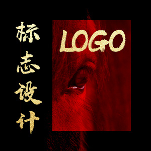 LOGO设计 总监操刀