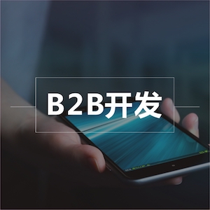 B2B电子商务管理系统定制开发