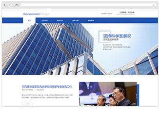 政府网站