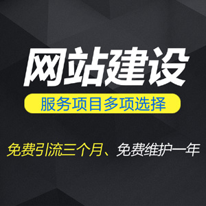 网站建设 网站制作 手机网站 企业公司 商城购物网站 网站二次开发一条龙全包