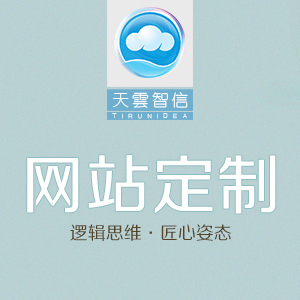 网站定制-原创设计定制开发的高质量作品